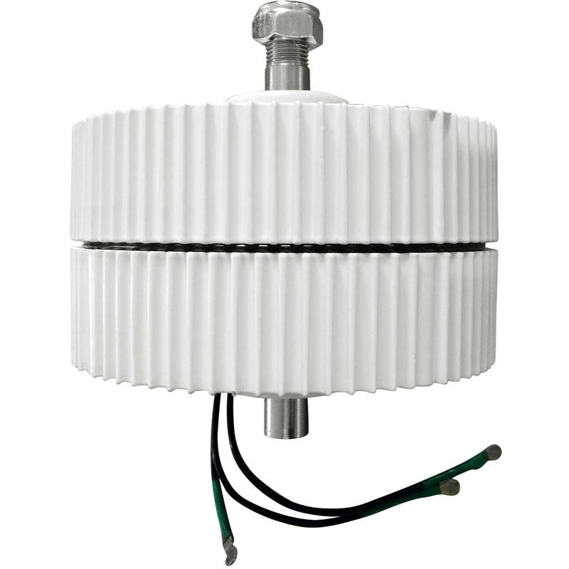 foto del prodotto generatore a magnete permanente trifase da 400 w, 12 v ca, mini turbina eolica ad alta efficienza e bassa velocit , alternatore ca per generatore