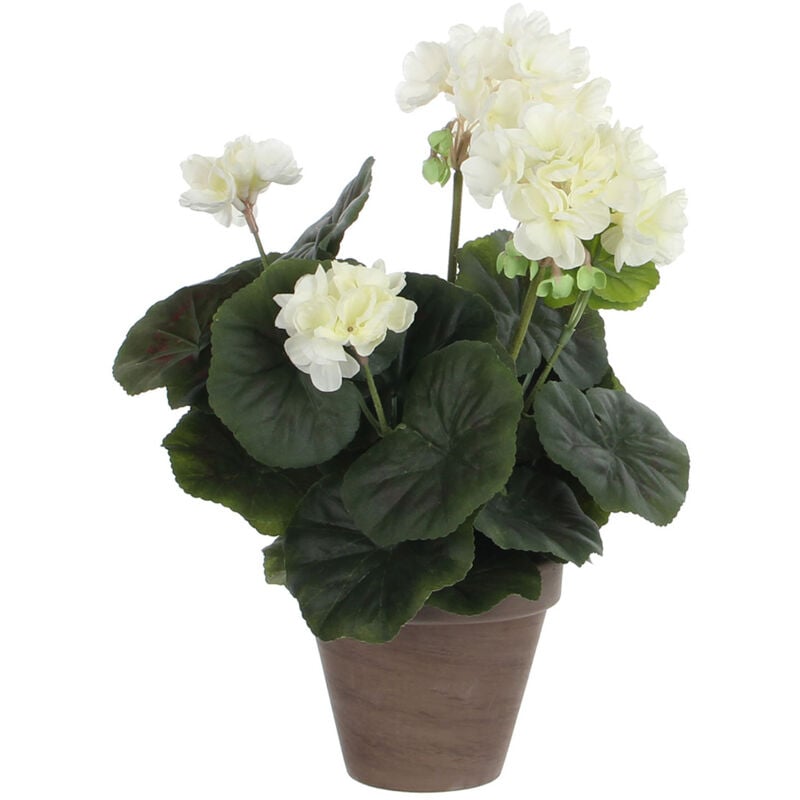 foto del prodotto geranio crema in pvc con vaso