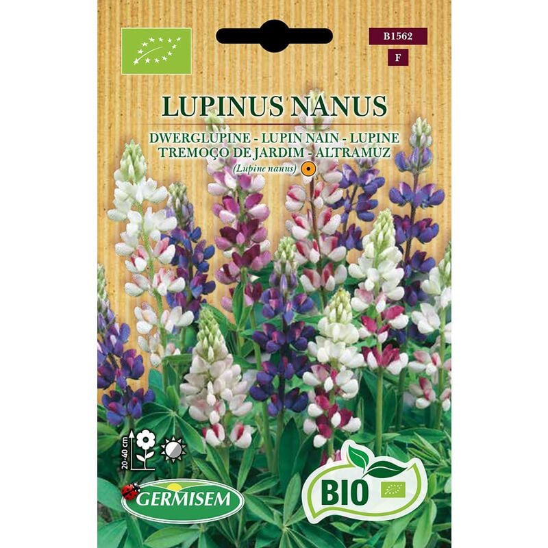 foto del prodotto germisem biologico lupinus nanus semi di lupino 1 g
