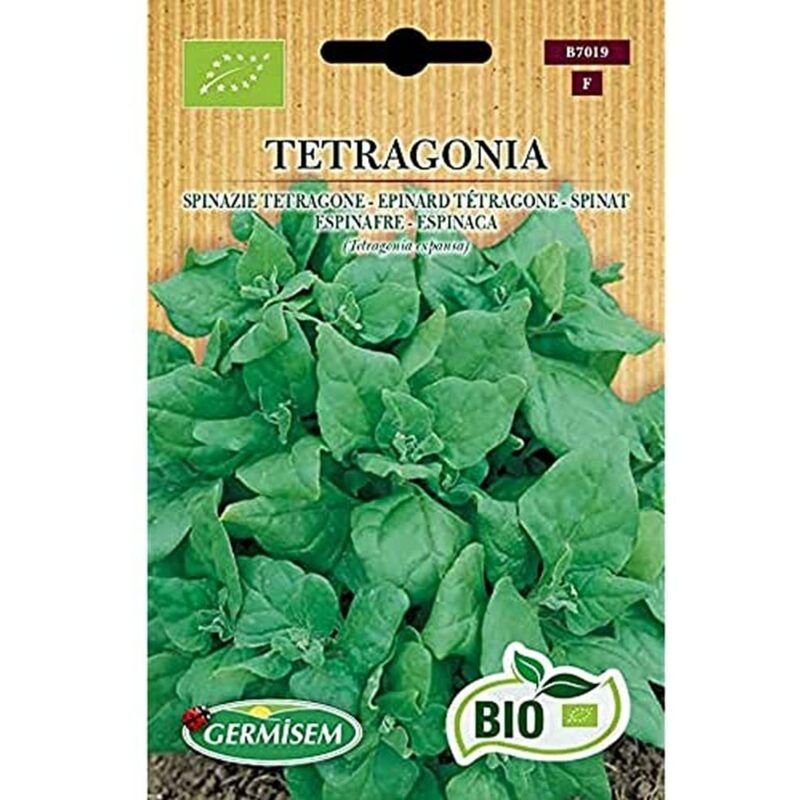 foto del prodotto germisem biologico tetragone semi di spinaci 1 g
