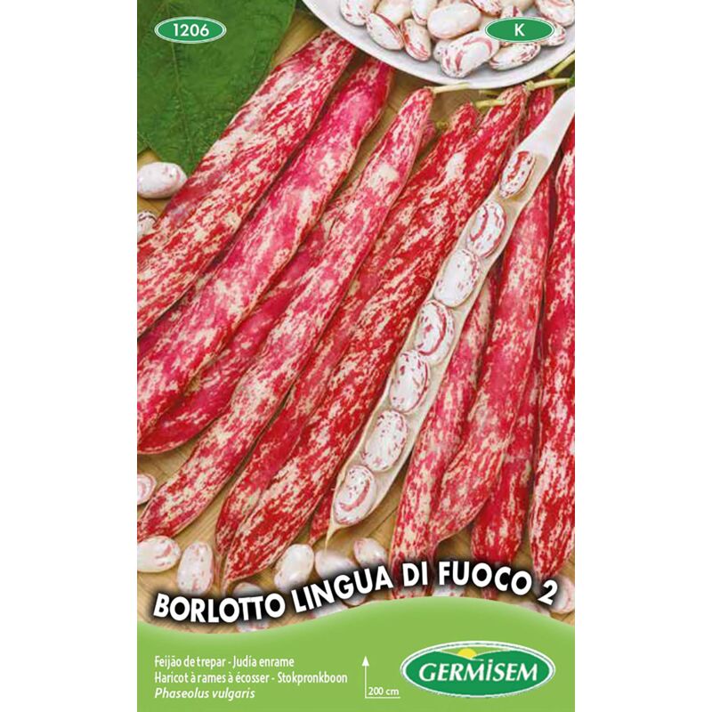 foto del prodotto germisem borlloto lingua di fuoco 2 semi di fagiolo rampicante 100 g