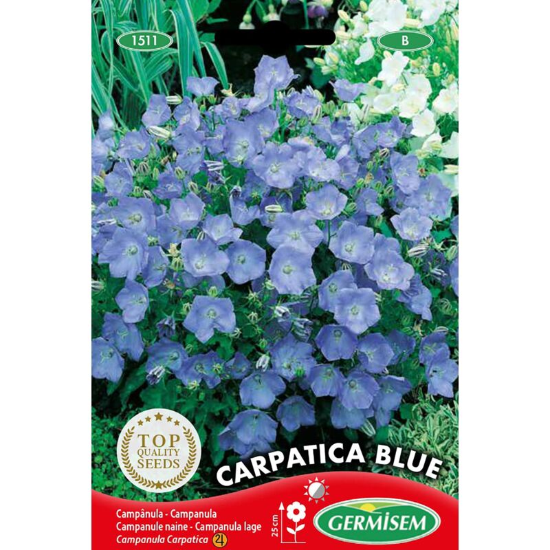 foto del prodotto germisem carpatica blue semi di campanula 0.5 g