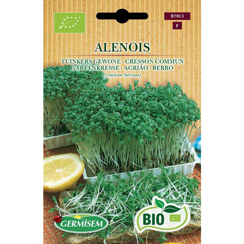 foto del prodotto germisem ecbio7013 semi