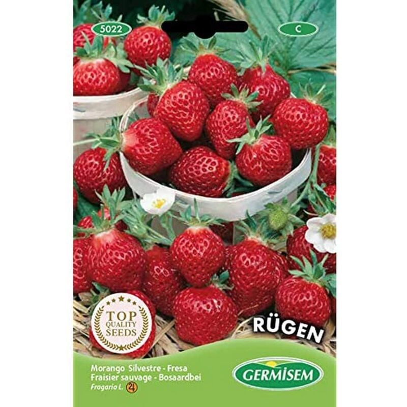 foto del prodotto germisem r gen semi di fragola 0.3 g