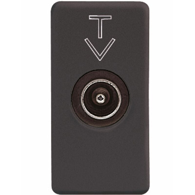 foto del prodotto gewiss system presa tv diretta gw21381