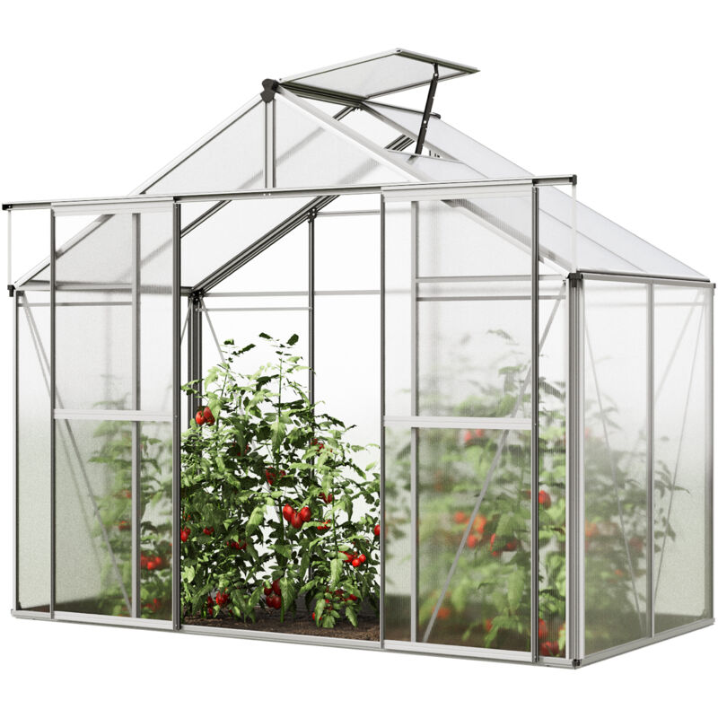 foto del prodotto gfp serra orchidee 2 costruzione in alluminio 256 x 131 cm lastre di policarbonato
