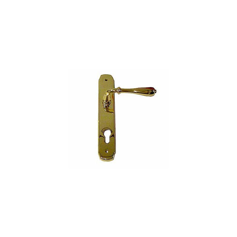 foto del prodotto ghidini maniglia novecento ott luc placca 8x85 yale