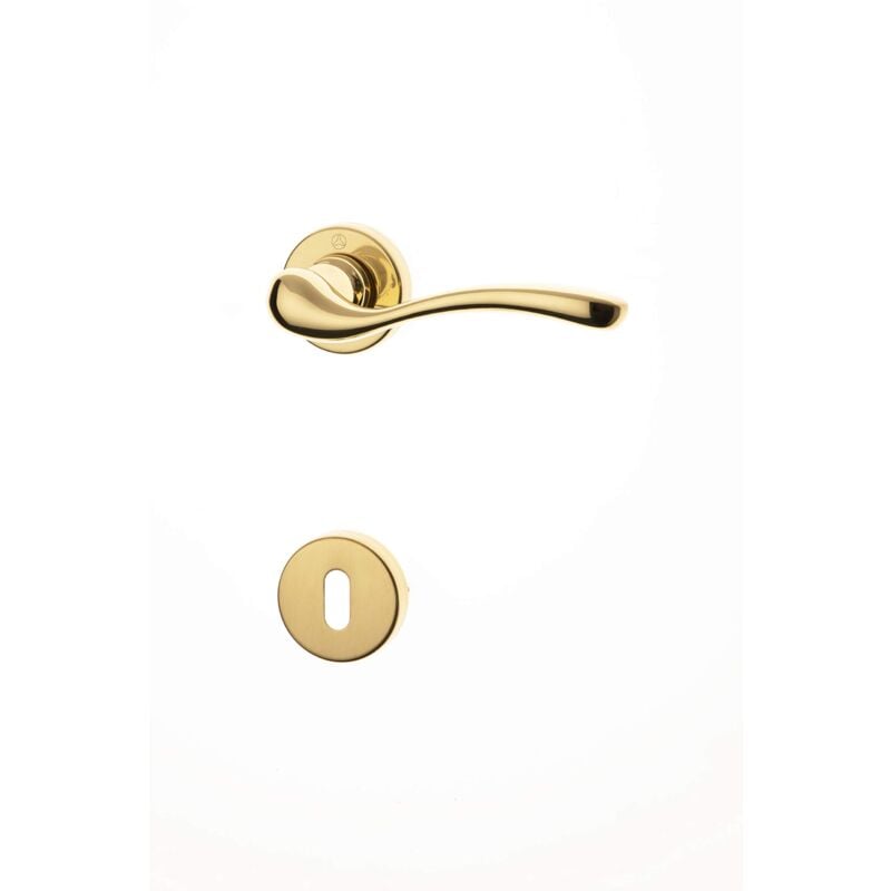 foto del prodotto ghidini maniglia per porte victoria z q8 rb