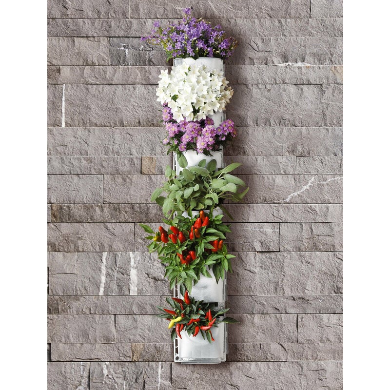 foto del prodotto giardino verticale 6 vasi 15x17x12 cm intercambiabili rama vertical garden