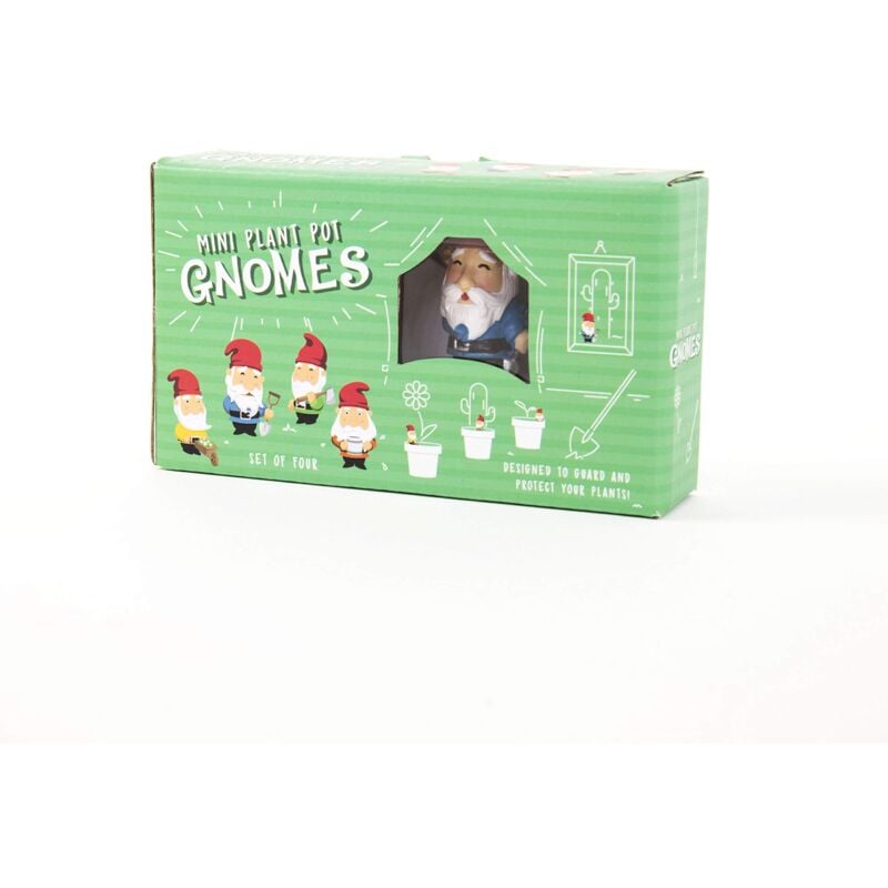 foto del prodotto gift republic gr450112 vaso per piante con gnomi, multicolore, 8 x 14 x 3,5 cm