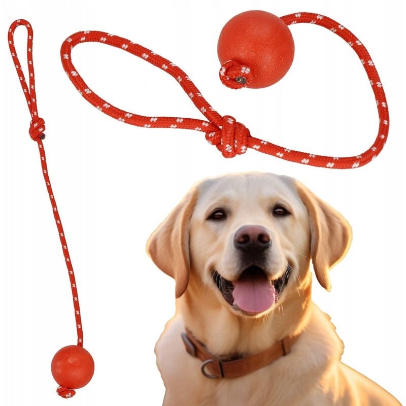 foto del prodotto giocattolo per cane palla mordibile strappo 50cm corda gomma fune aport