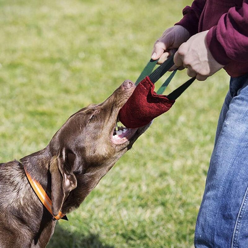 foto del prodotto giocattolo per cani k9 a forma di salsiccia resistente ai morsi con 2 manici, rotondo, 40 cm