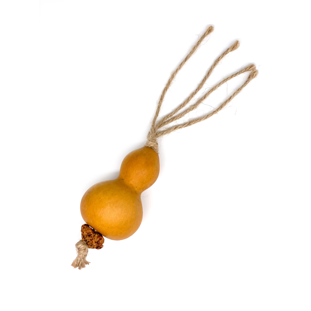 foto del prodotto gioco dentale per gatti aum ller zucca con matatabi 1 pz