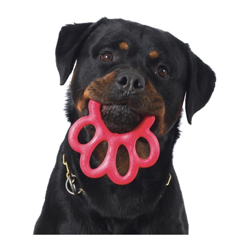 foto del prodotto gioco per cani orma a forma di zampa portaguinzagli