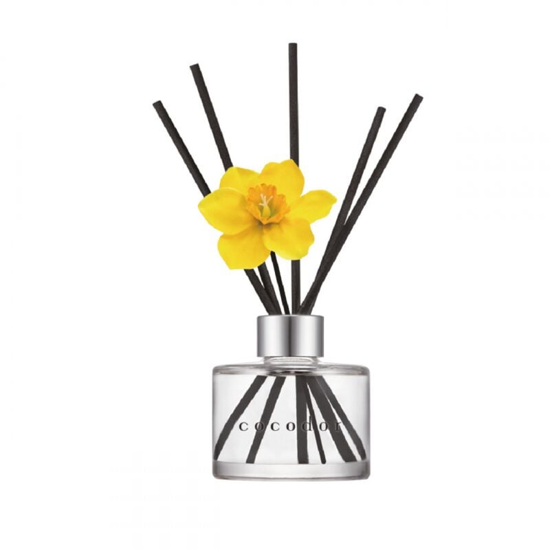 foto del prodotto giocoplast natale diffusore a bastoncini daffodil 120ml english pearfree cocodor