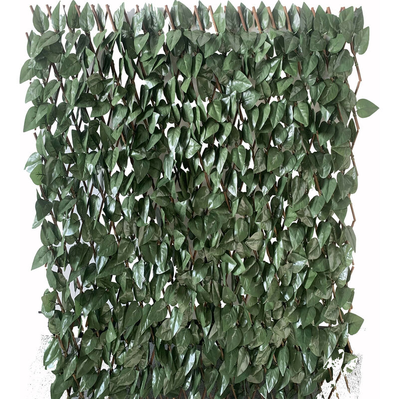 foto del prodotto giordanoshop arella frangivista estensibile 1x2m in salice con foglie di lauro garden friend