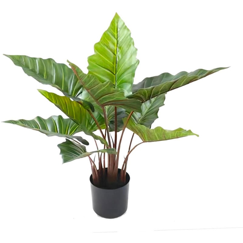 foto del prodotto giordanoshop pianta artificiale colocasia h55 cm con vaso verde