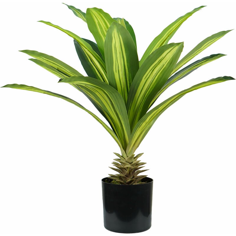 foto del prodotto giordanoshop pianta artificiale dracaena h60 cm con vaso verde