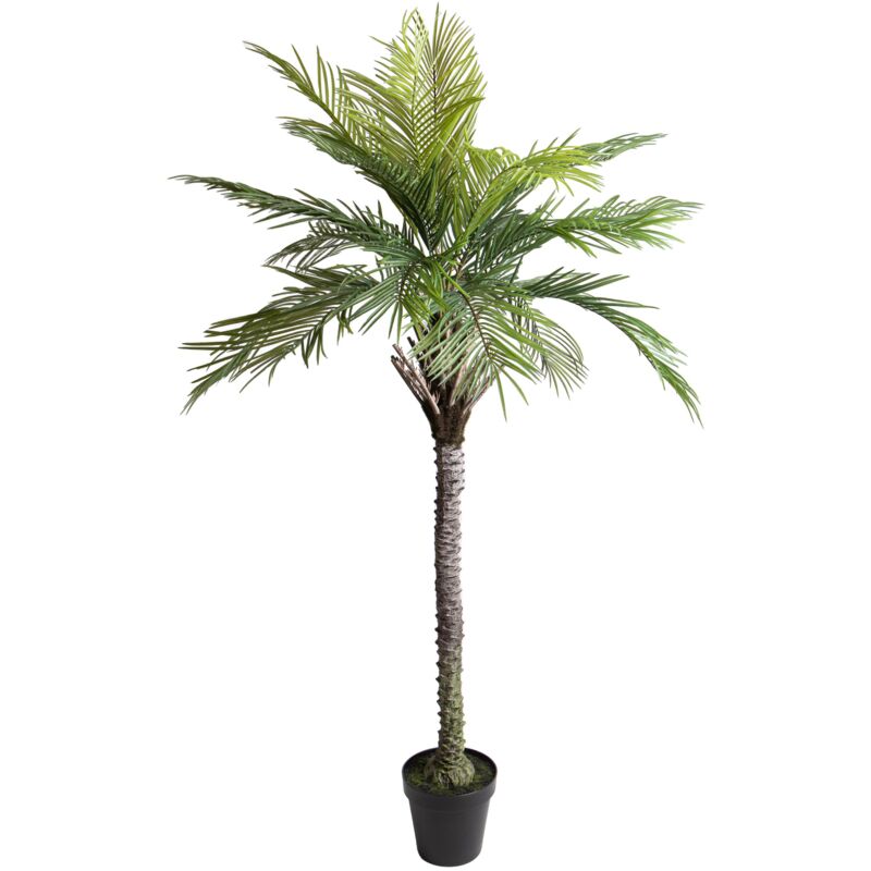 foto del prodotto giordanoshop pianta artificiale palma per 19 con vaso 200 cm