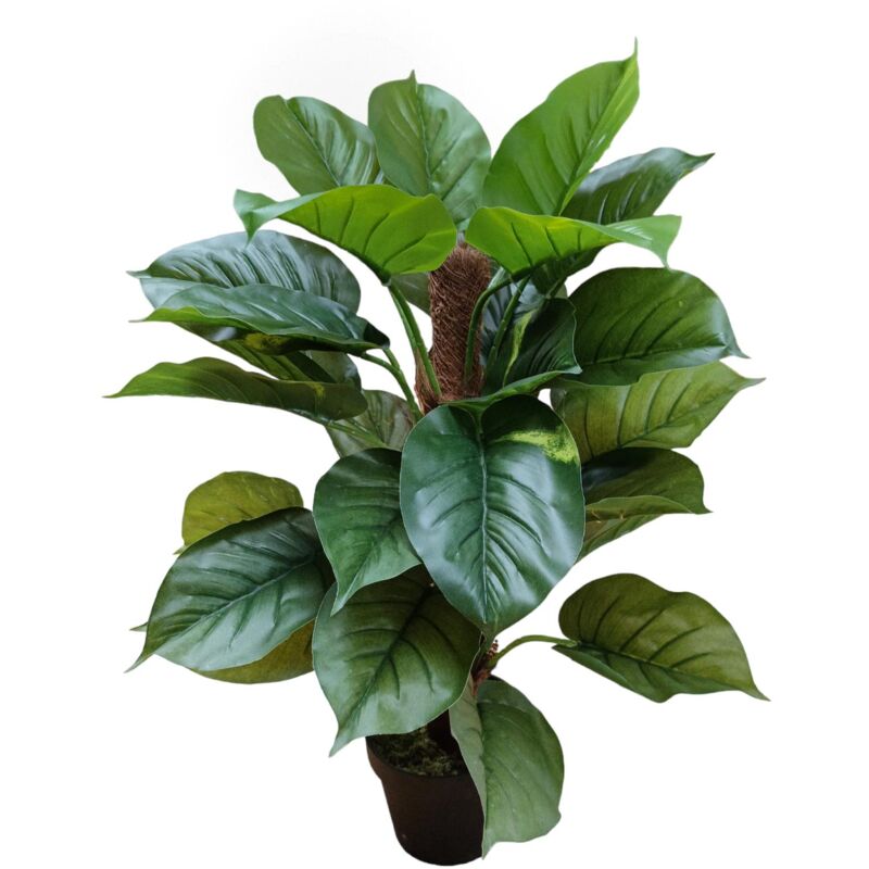 foto del prodotto giordanoshop pianta artificiale pothos in vaso con 30 foglie h 85 cm