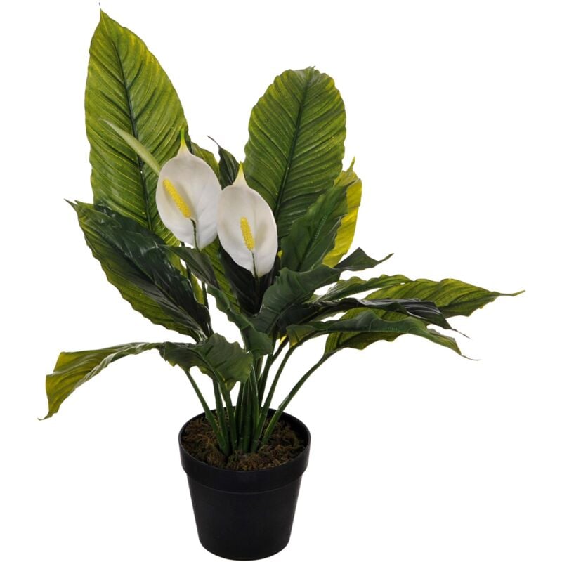 foto del prodotto giordanoshop pianta artificiale spathipilium con vaso h 65 cm