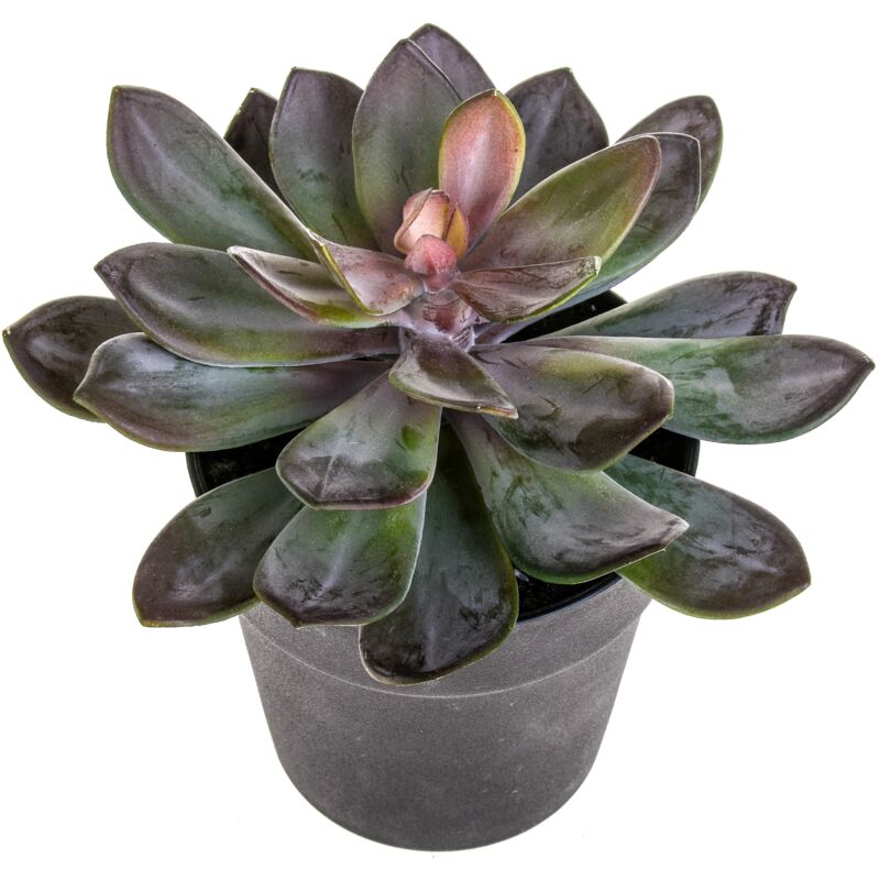 foto del prodotto giordanoshop pianta artificiale succulent con vaso h 20 cm