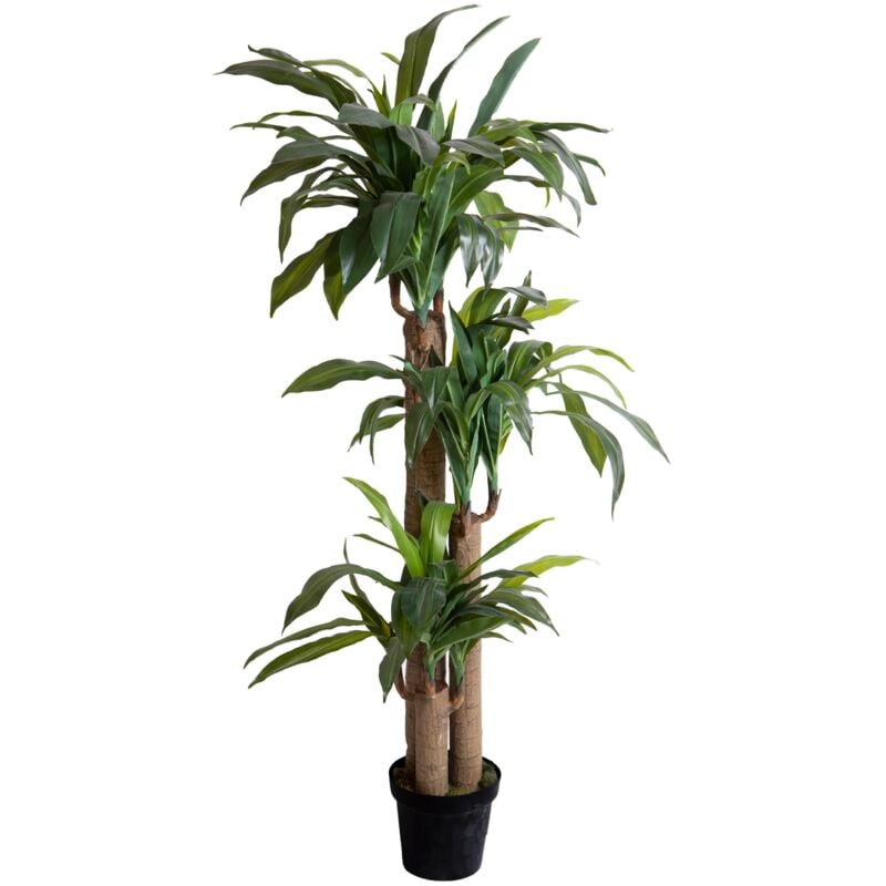 foto del prodotto giordanoshop pianta artificiale tronco della felicit con vaso h 150 cm