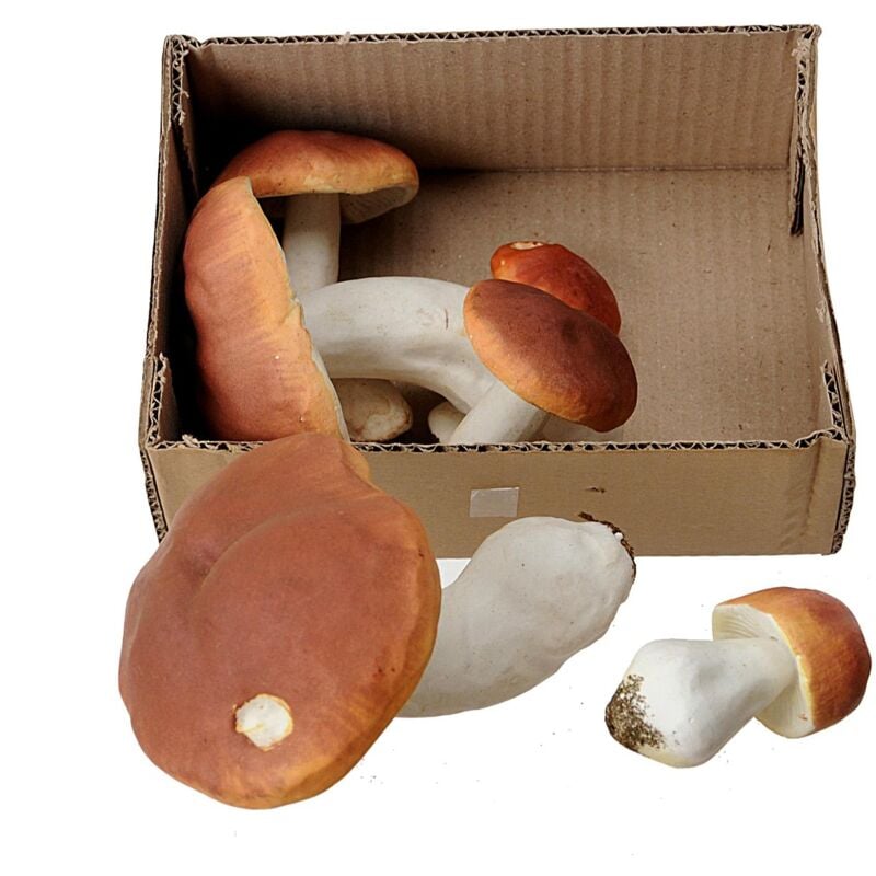 foto del prodotto giordanoshop set 12 porcini artificiali assortiti h 22 cm