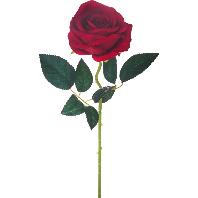 foto del prodotto giordanoshop set 12 rose artificiali velvet singola altezza 55 cm rosso