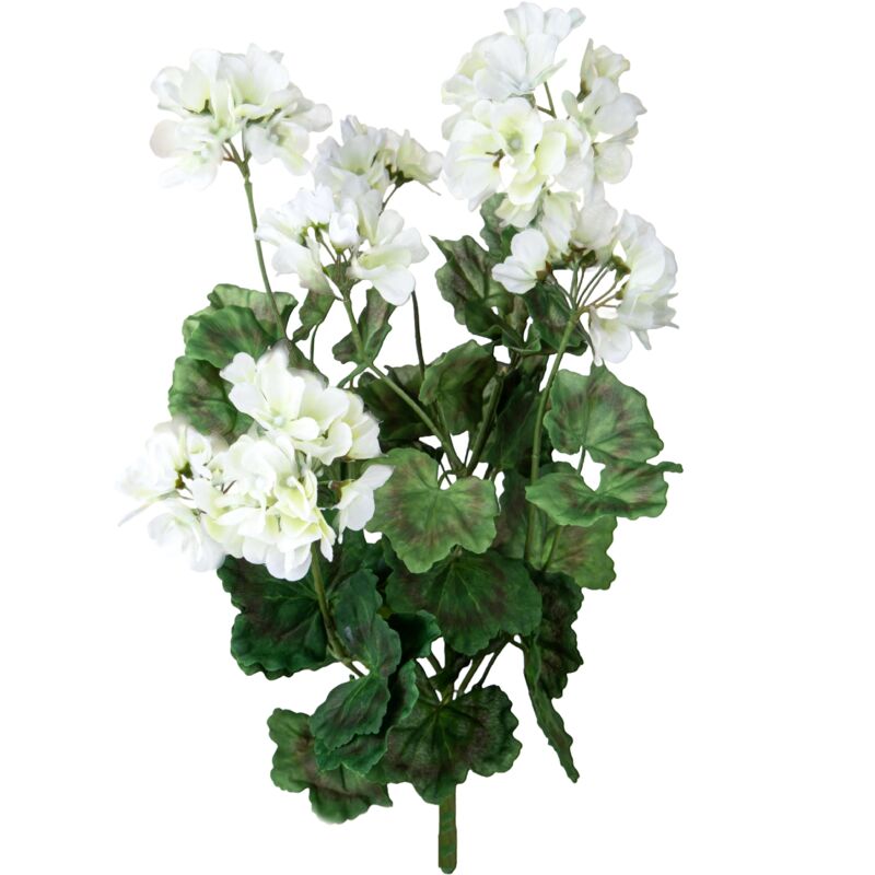 foto del prodotto giordanoshop set 2 cespugli di geranio h 54 cm