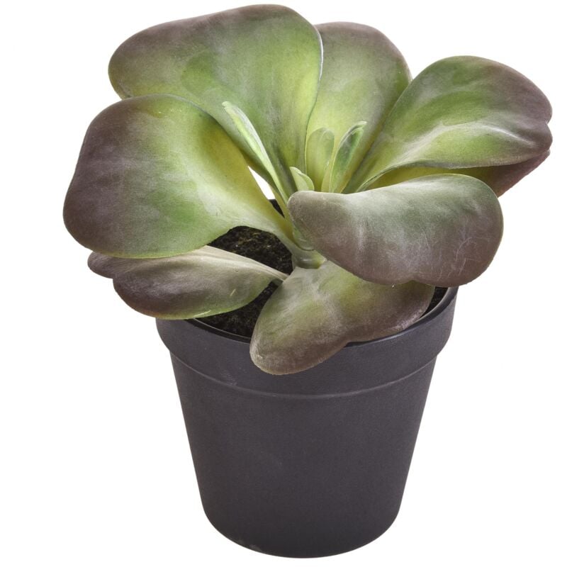 foto del prodotto giordanoshop set 2 kalanchoe succulent artificiale con vaso altezza 16,5 cm verde