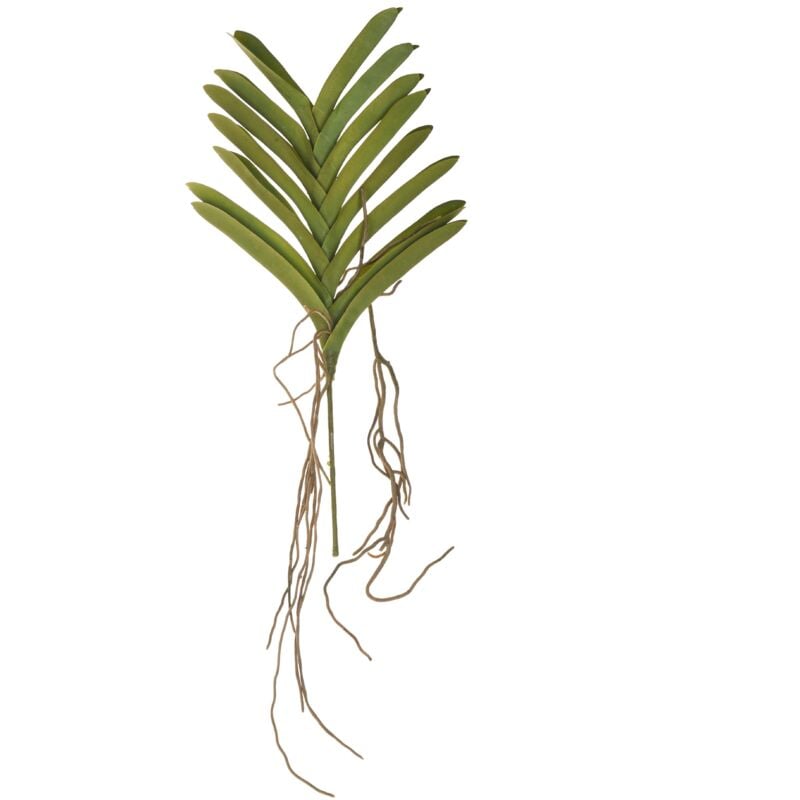 foto del prodotto giordanoshop - set 2 pianta artificiale orchidea artificiali vanda altezza 70 cm verde
