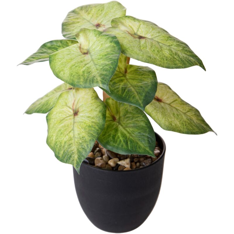 foto del prodotto giordanoshop set 3 piante artificiali syngonium podophyllum in vasi 26 cm