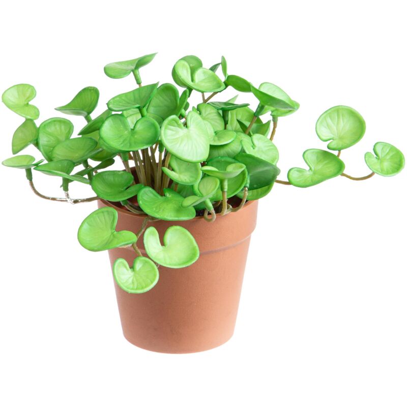 foto del prodotto giordanoshop set 3 piante di hydrocotyle artificiale in vaso composta da 3 diramazioni altezza 20 cm verde
