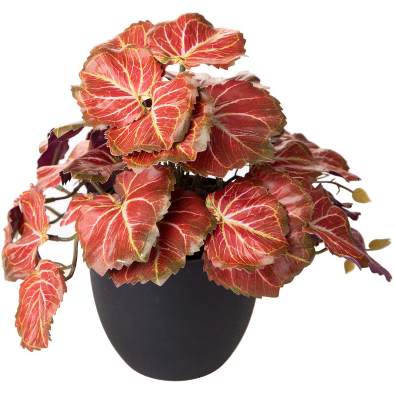 foto del prodotto giordanoshop set 3 rami artificiali heuchera in vasi 20 cm