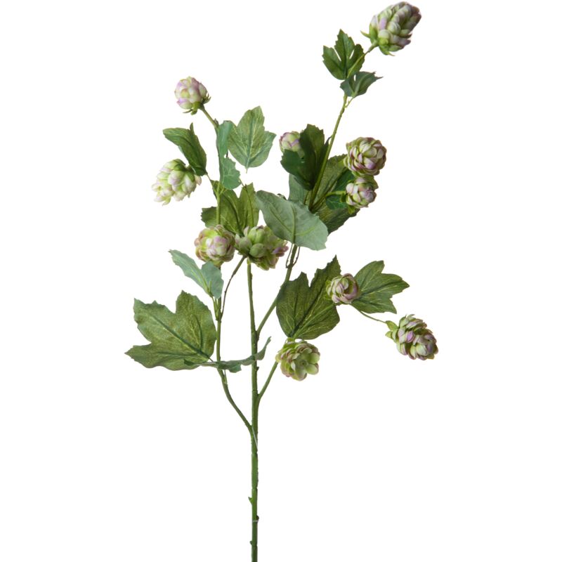 foto del prodotto giordanoshop set 4 fiori artificiali di luppolo h 78 cm