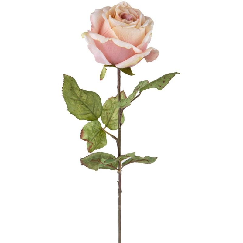 foto del prodotto giordanoshop set 4 rose artificiali con dry altezza 62 cm