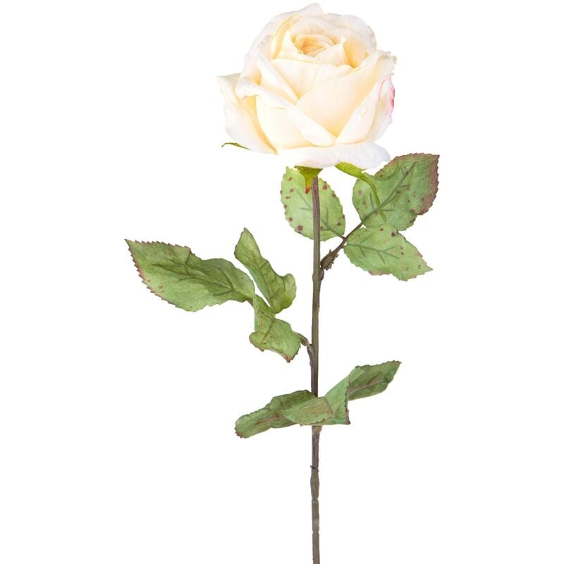 foto del prodotto giordanoshop set 4 rose artificiali con dry altezza 62 cm