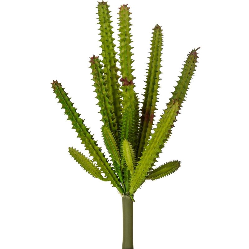 foto del prodotto giordanoshop set 6 echeveria cactus artificiale altezza 23 cm verde
