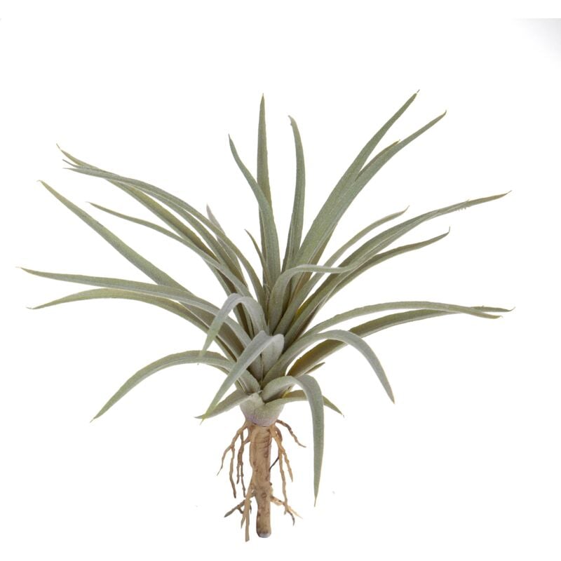 foto del prodotto giordanoshop set 6 foglie artificiali tillandsia 16 cm