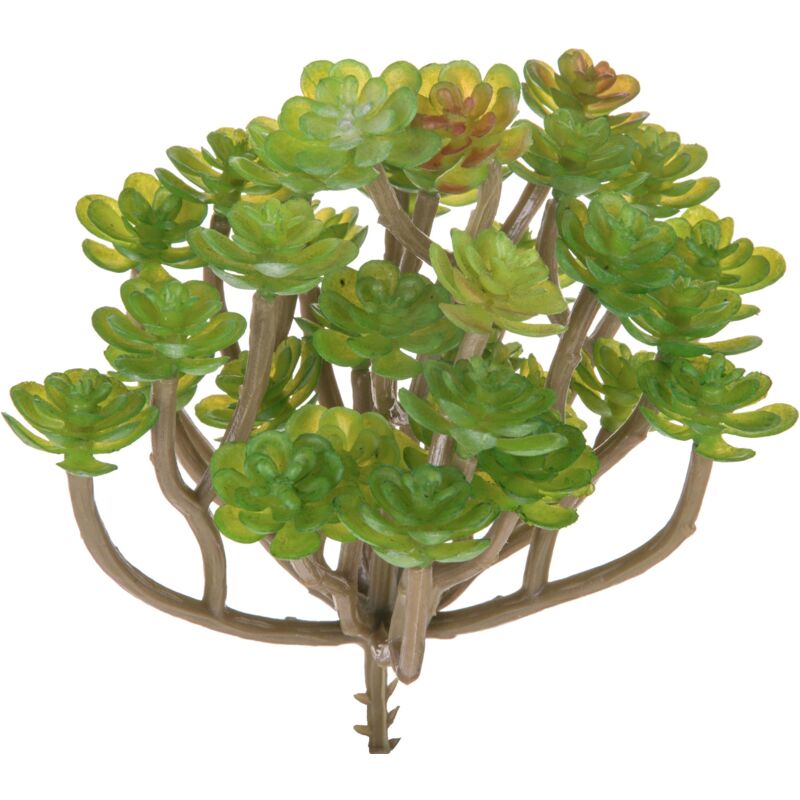 foto del prodotto giordanoshop set 9 aoenium succulent artificiale altezza 12 cm verde