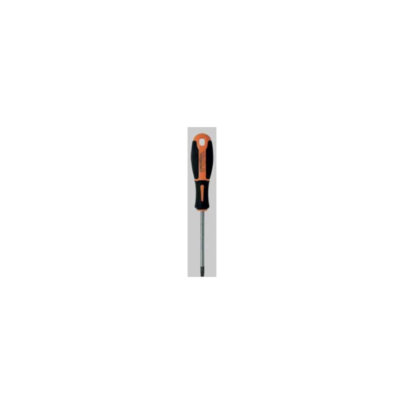 foto del prodotto giravite per viti torx mundial tx 25x100