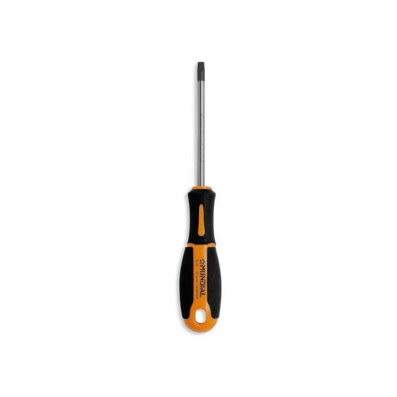 foto del prodotto giravite torx con foro tx 10x80