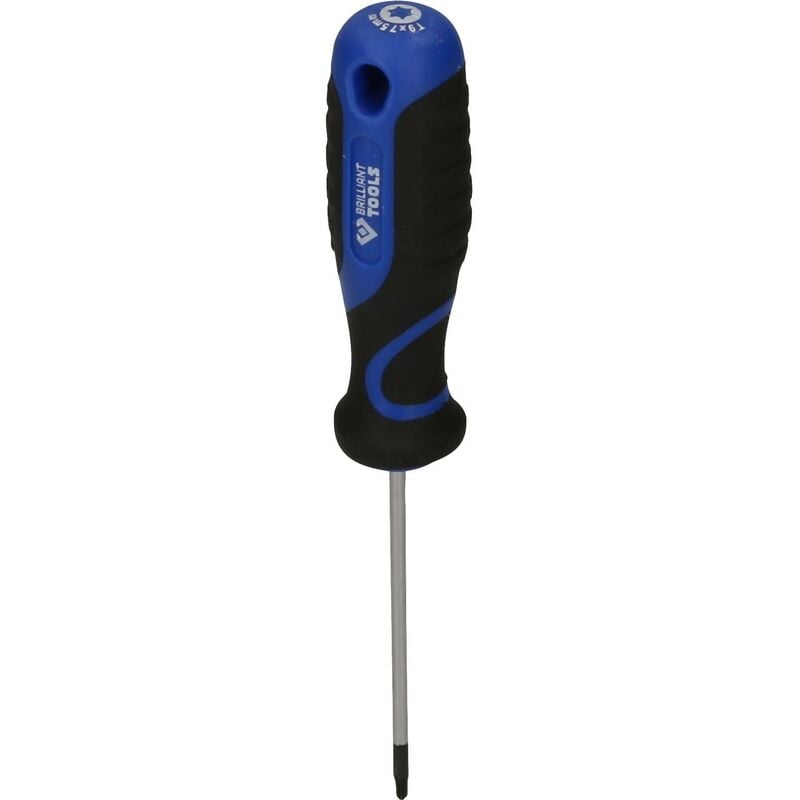 foto del prodotto giravite torx, t9