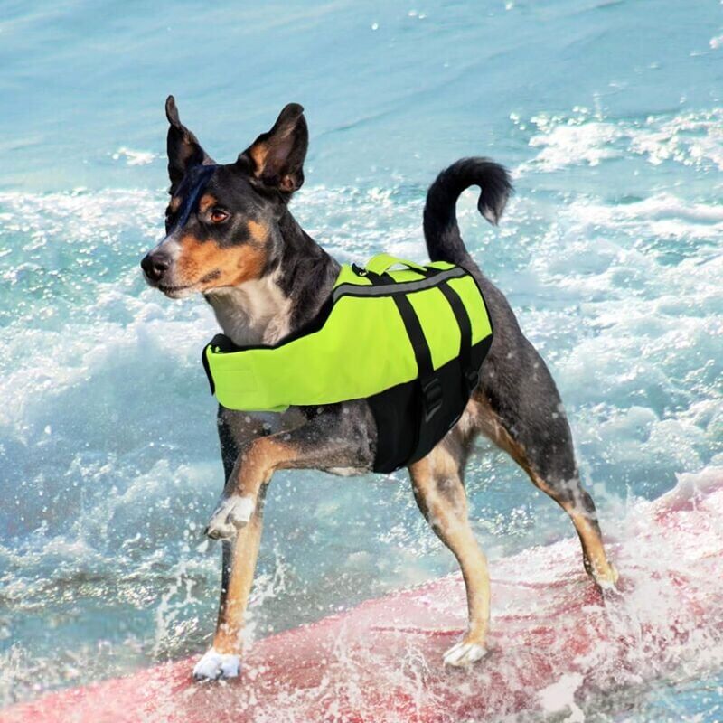 foto del prodotto giubbotto di salvataggio portatile per cani, giubbotto da nuoto per cani, giubbotto di salvataggio per animali domestici con striscia riflettente per