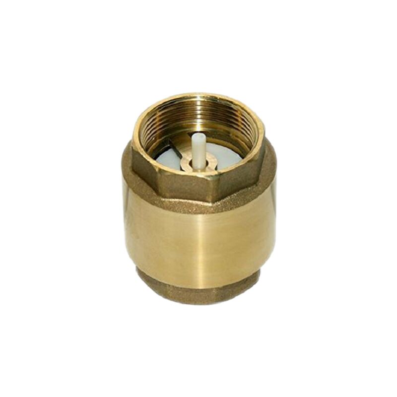 foto del prodotto gncgarden valvola di ritegno filettatura 12 in ottone diametro 20 mm per water control offerta esclusiva