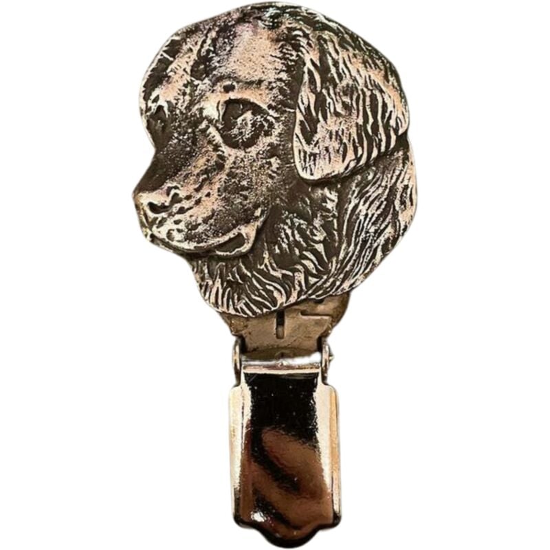 foto del prodotto golden retriever spilla con clip, porta numero di partenza, distintivo argentato per esposizioni canine di art dog