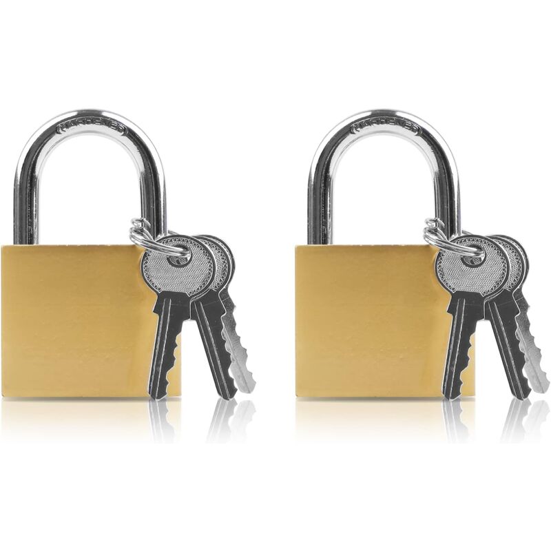 immagine 0 del prodotto gotrays set di 2 piccoli lucchetti con chiavi, lucchetto per valigia, lucchetto per armadietto, lucchetto di sicurezza ideale per borse da viaggio,