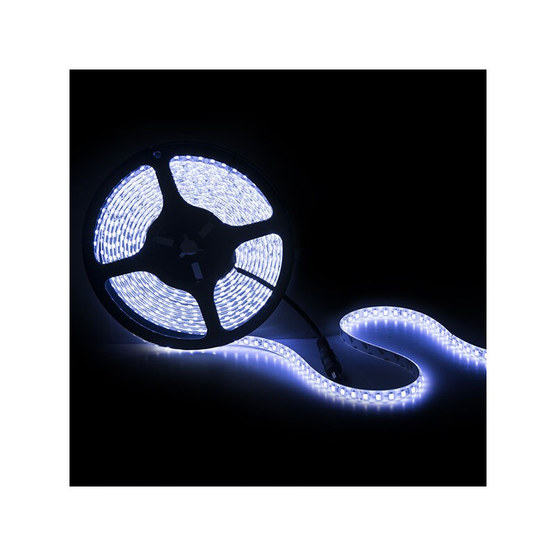 foto del prodotto greenice striscia da 600 led 60w 5.500lm smd2835 24vdc x5m 40.000h gr rdt2835 120 24 b blu