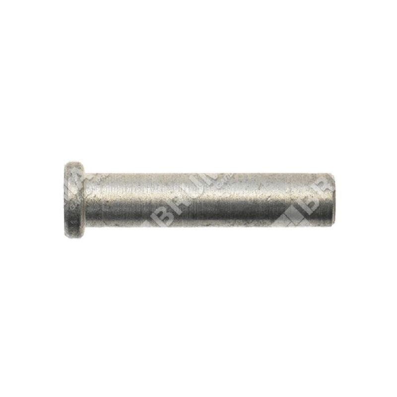 foto del prodotto greenline perno bloccaggio acceleratore per tagliasiepi green line compatibile 014861